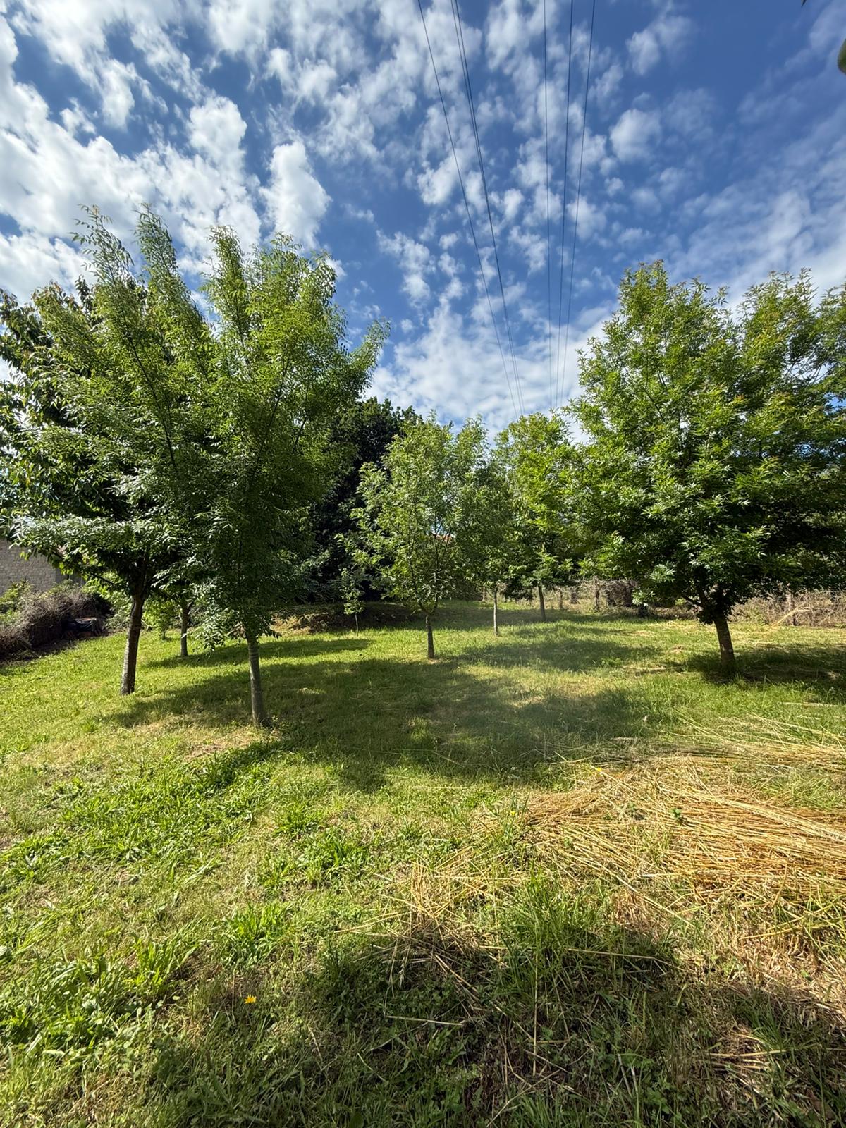 Chalet independiente en Travesía da Xeira